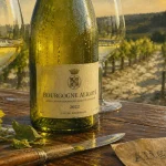 Photo d’un aligoté en Bourgogne, bouteille et vignes